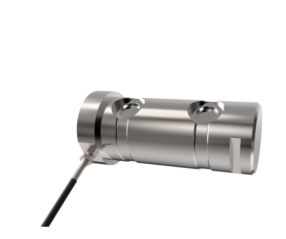 ���������� XZJY