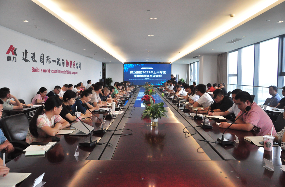 ���Ź�˾�ٿ�2023�꣨�£�����������