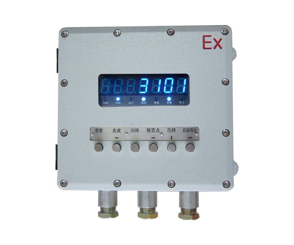 �Ǳ� Ex-XK3101C1