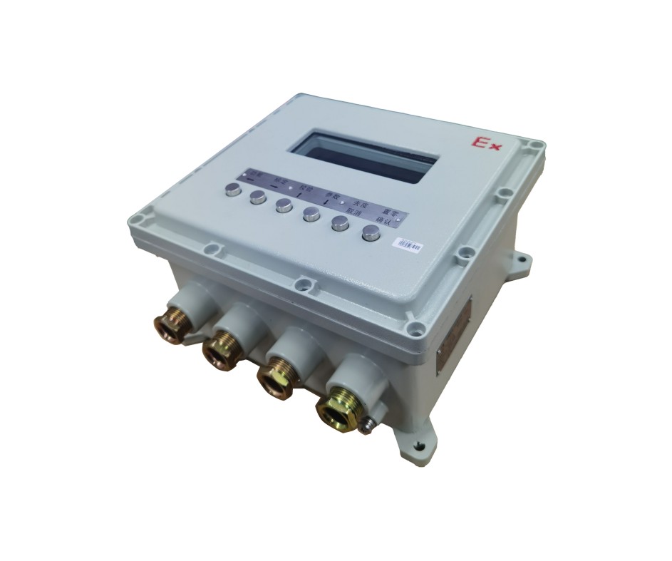 �Ǳ� Ex-KL3101-D5