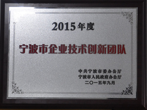 2015������ҵ���������Ŷӽ�