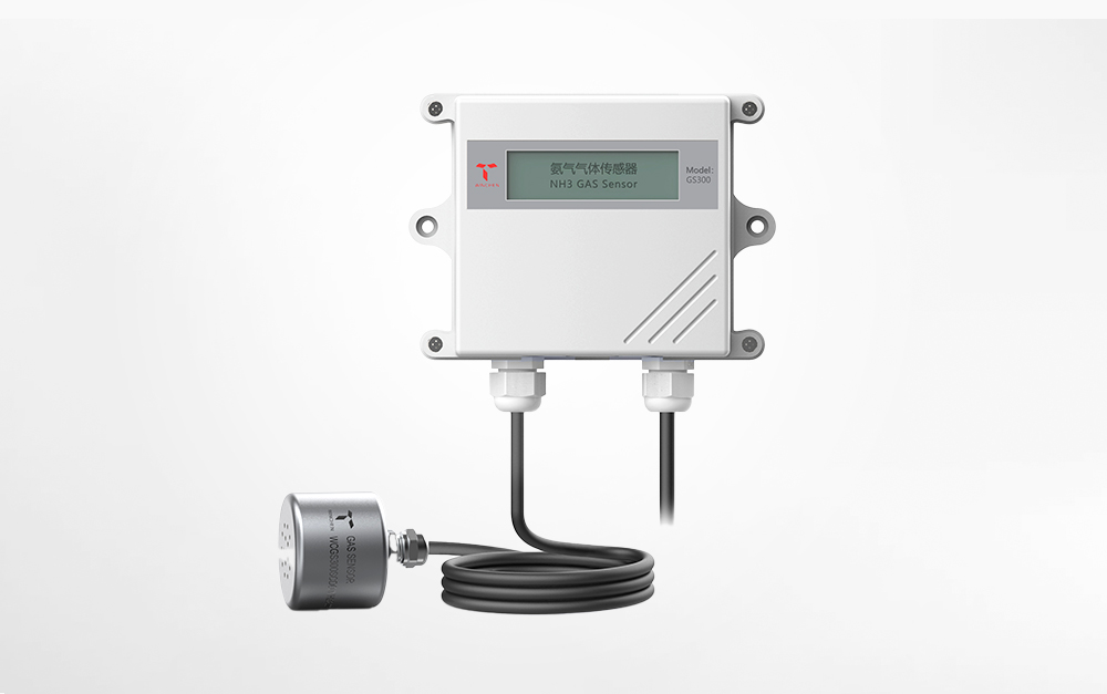 ���ֿ����⴫����